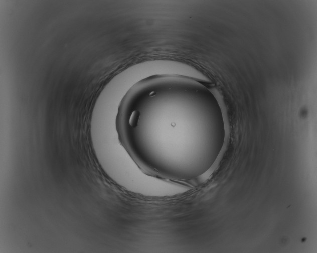 X0000092271010200710051335