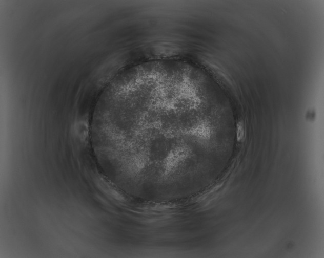 X0000092271011200710051335