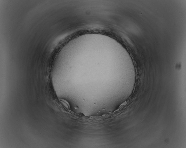 X0000092271016200710051335