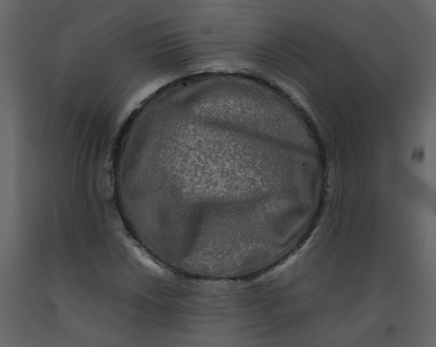 X0000092271018200710051335