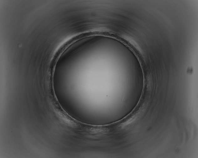 X0000092271021200710051335