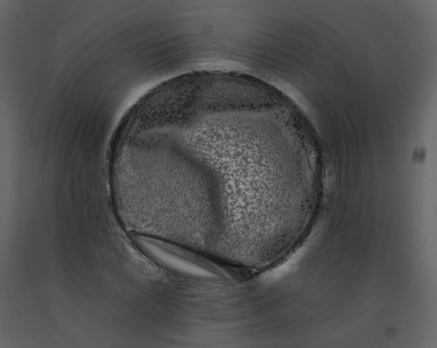 X0000092271022200710051335