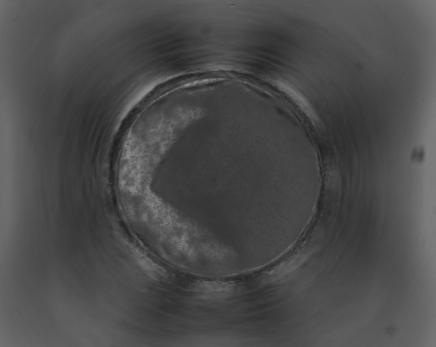 X0000092271023200710051335