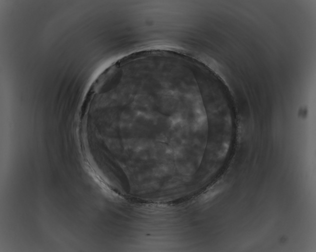 X0000092271024200710051335