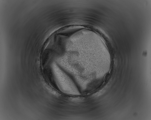 X0000092271025200710051335