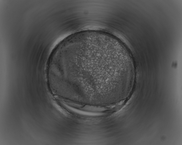 X0000092271026200710051335