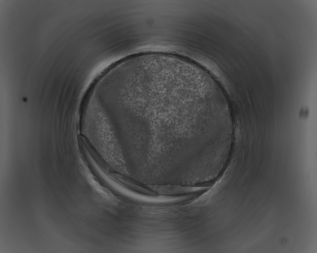 X0000092271030200710051335