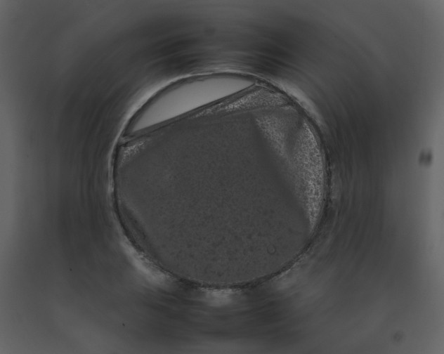 X0000092271031200710051335