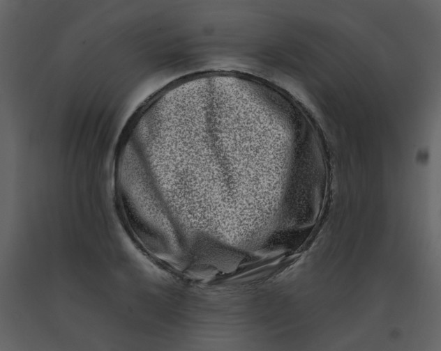 X0000092271032200710051335