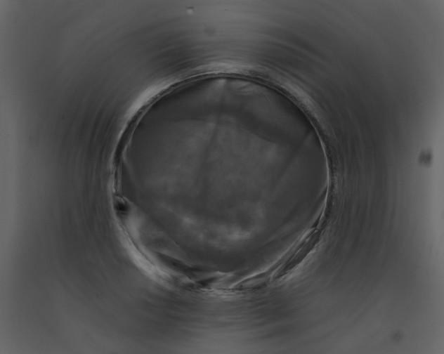 X0000092271034200710051335