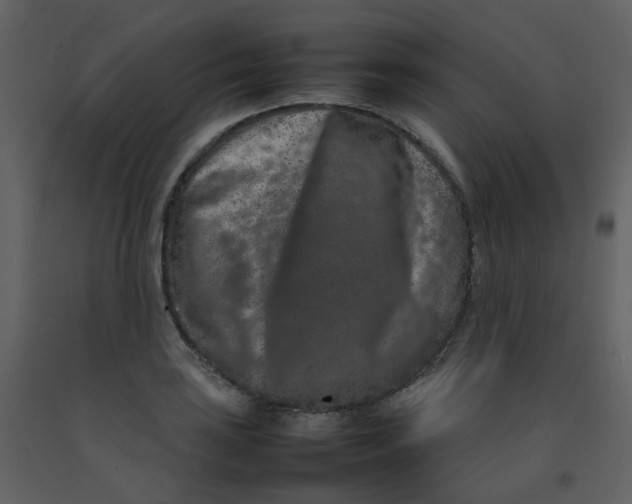 X0000092271035200710051335