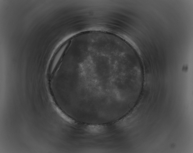 X0000092271037200710051335