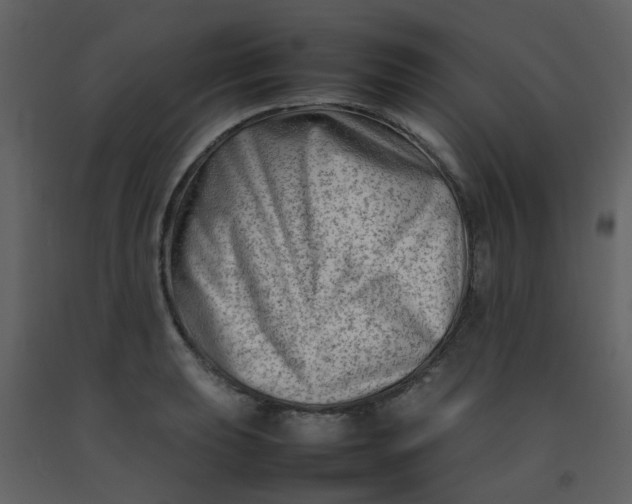 X0000092271039200710051335