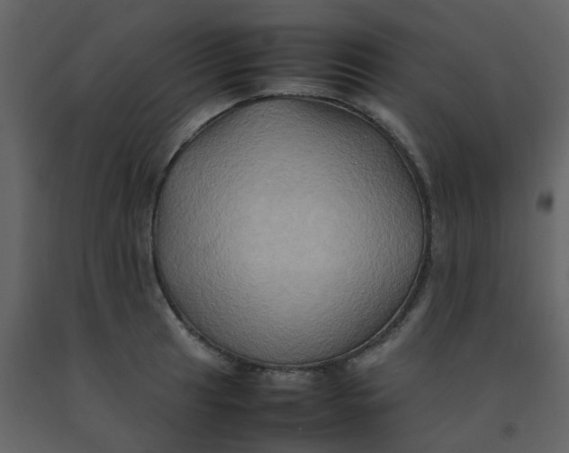 X0000092271041200710051335