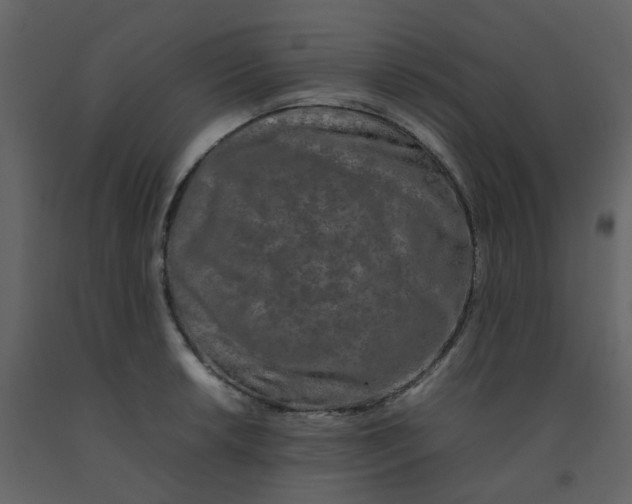 X0000092271042200710051335