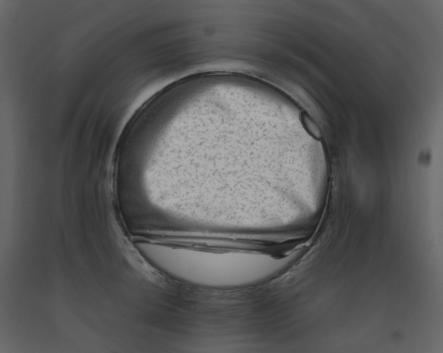 X0000092271044200710051335