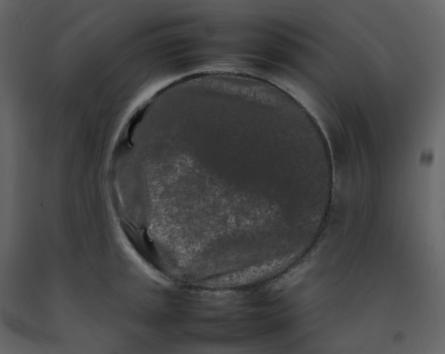 X0000092271045200710051335