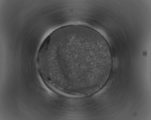 X0000092271046200710051335