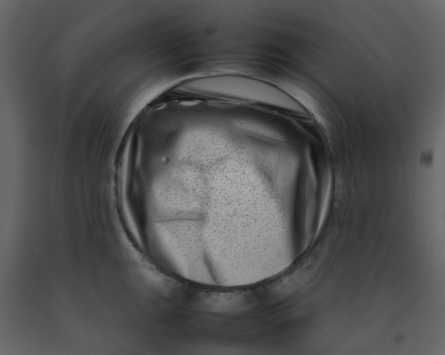 X0000092271047200710051335