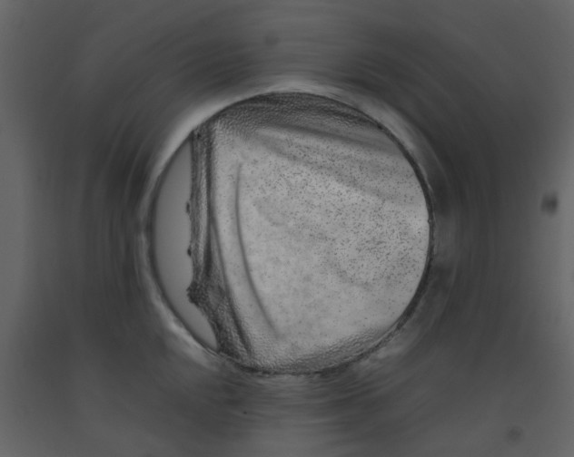 X0000092271048200710051335