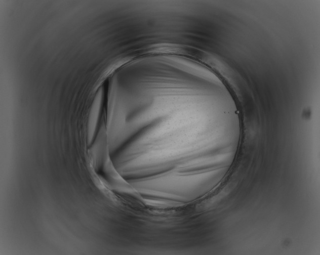 X0000092271049200710051335