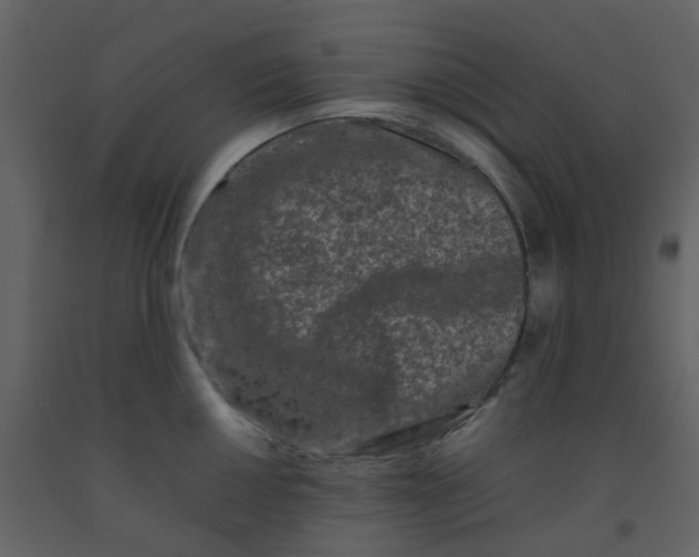 X0000092271050200710051335