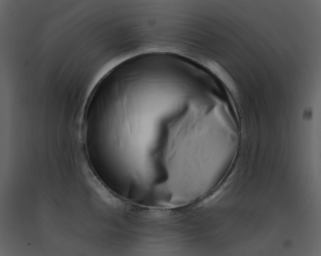 X0000092271052200710051335