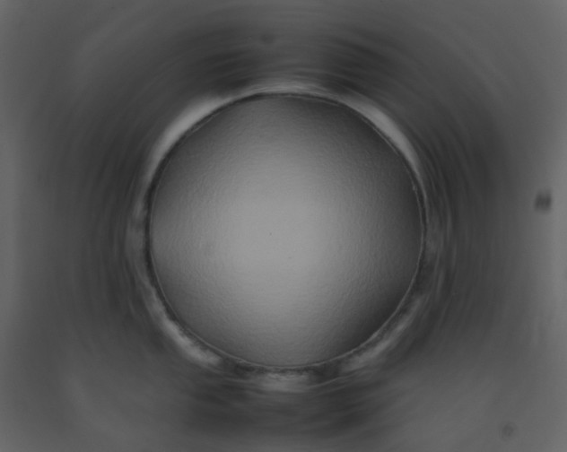 X0000092271053200710051335