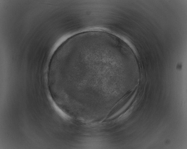 X0000092271054200710051335