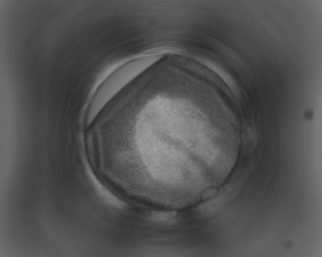 X0000092271055200710051335