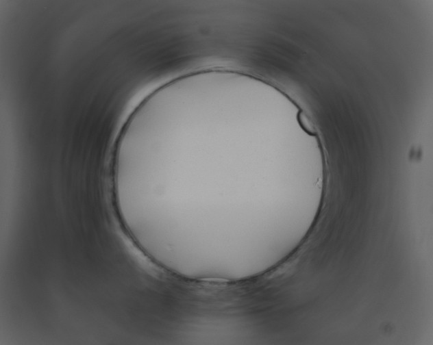 X0000092271056200710051335