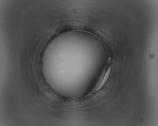 X0000092271057200710051335