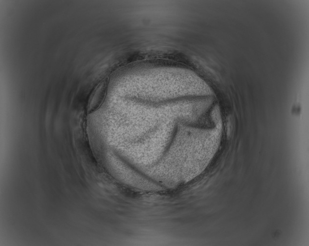 X0000092271059200710051334