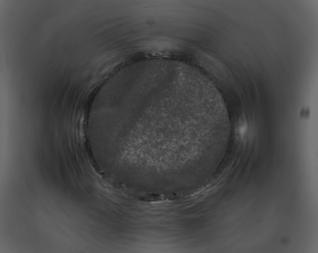 X0000092271060200710051334