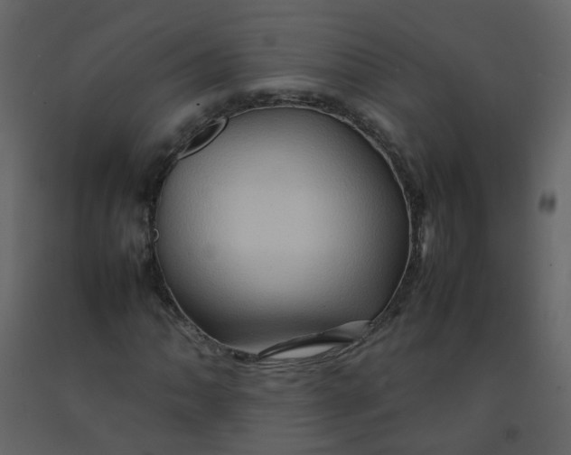 X0000092271062200710051334