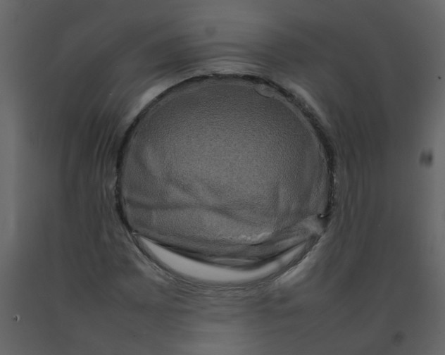 X0000092271065200710051334