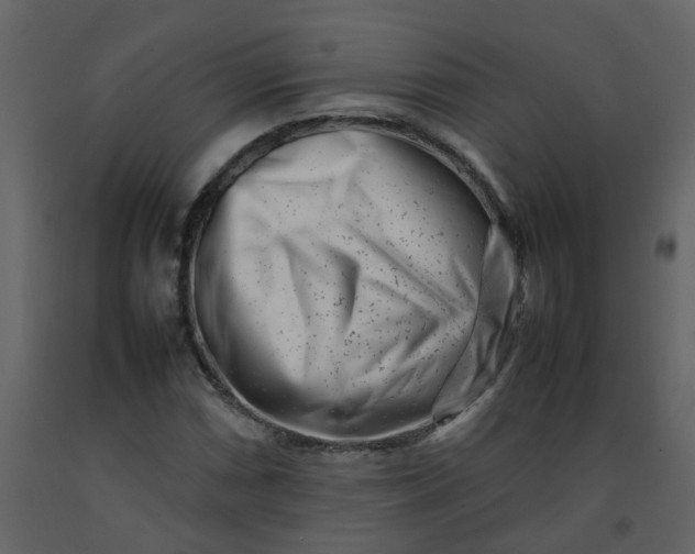 X0000092271066200710051334