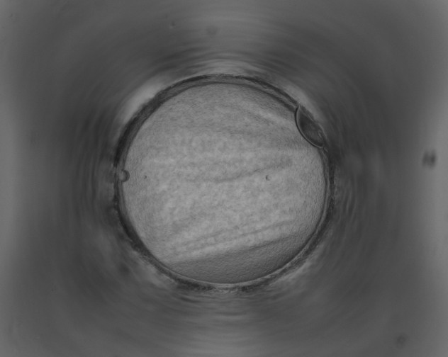 X0000092271067200710051334