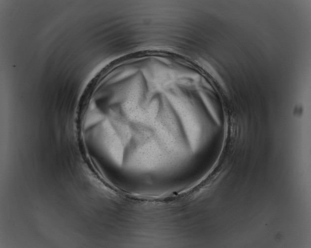 X0000092271068200710051334