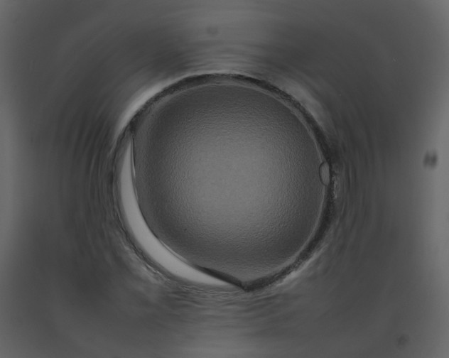 X0000092271069200710051334