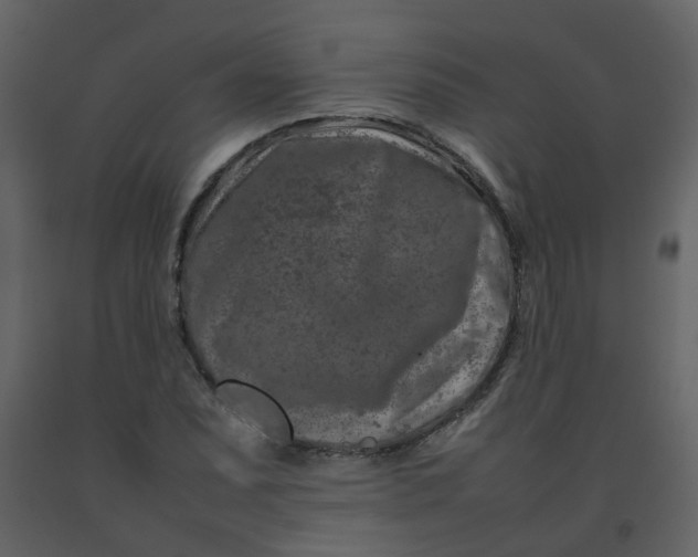 X0000092271071200710051334