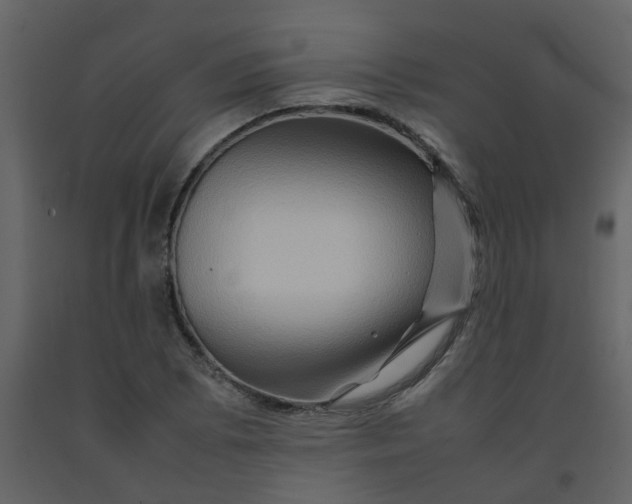 X0000092271073200710051334