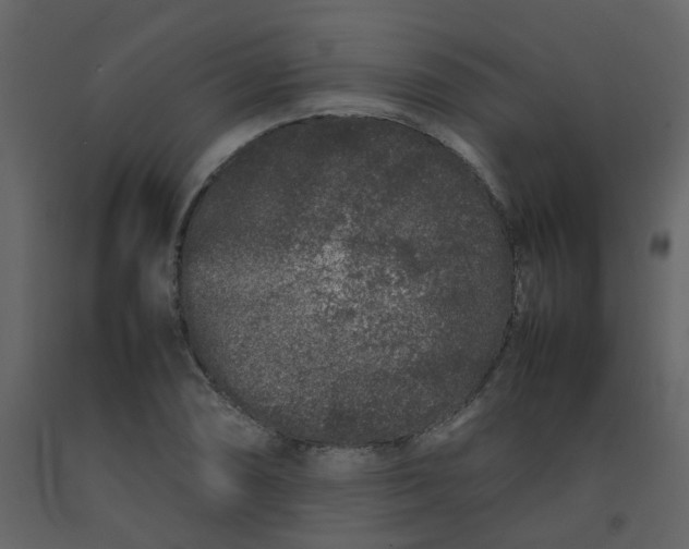 X0000092271074200710051334