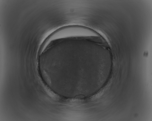 X0000092271077200710051334