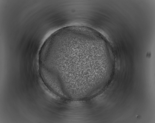 X0000092271078200710051334