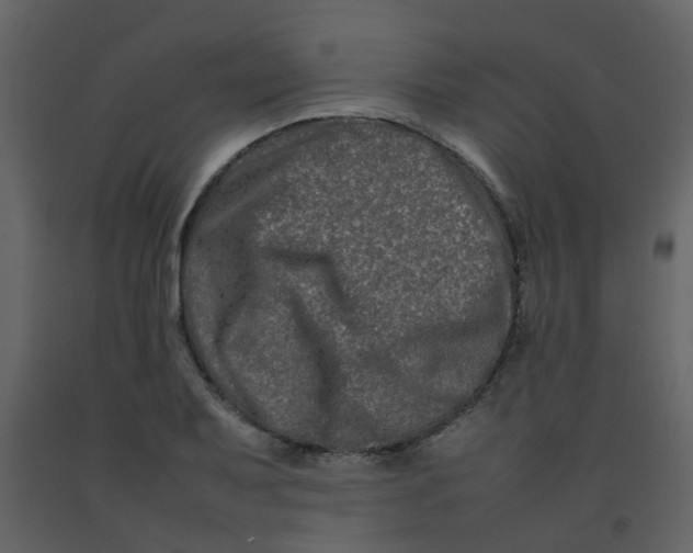 X0000092271079200710051334