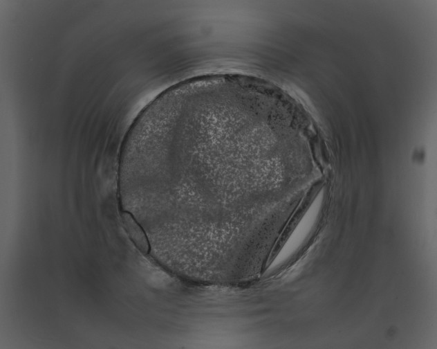 X0000092271081200710051334