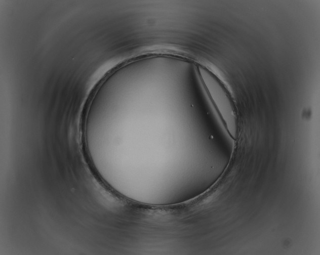 X0000092271082200710051334