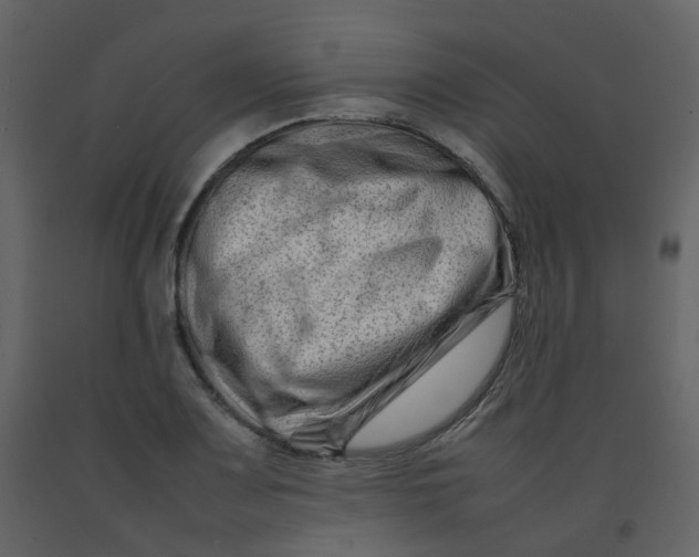 X0000092271083200710051334