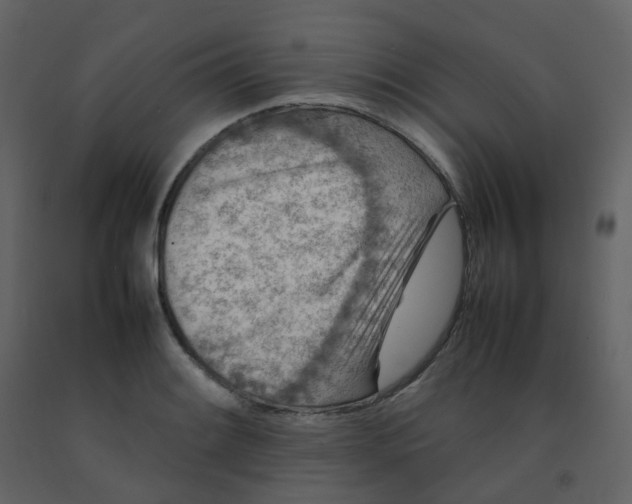 X0000092271084200710051334